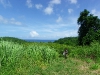 martinique-2014-29