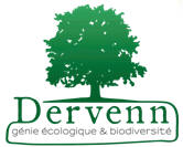 Dervenn