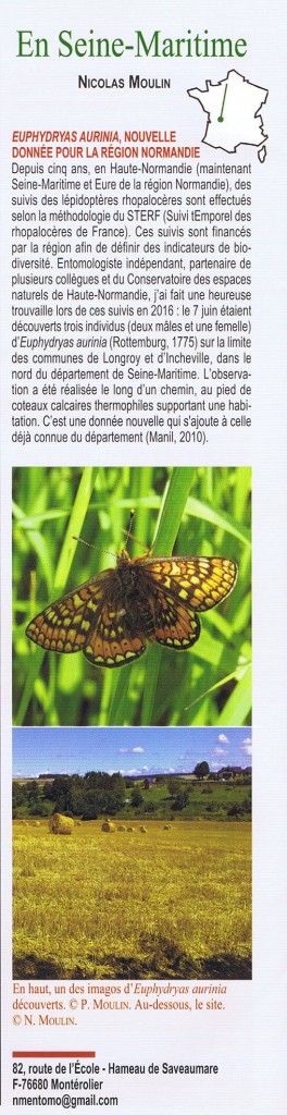 aurinia dans Oreina 062017